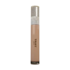 قیمت کانسیلر 4N Caramel تراست پرو